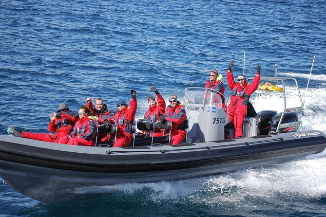 Akureyri Express Whale Watching by RIB boat - What makes the small group valuable