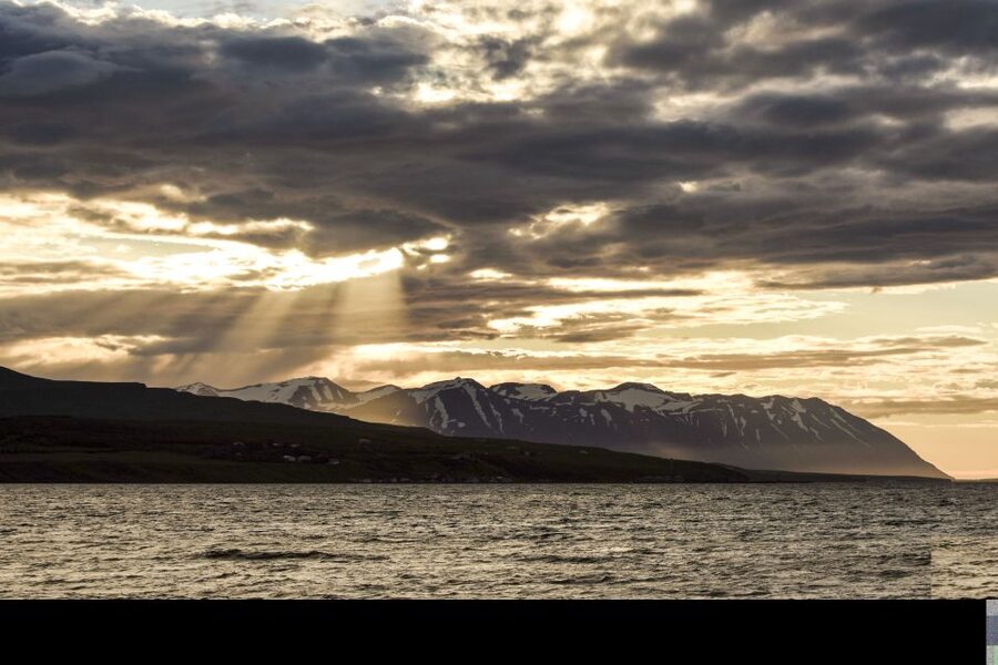 Akureyri: Whale Watching in the Midnight Sun - What the midnight timing means for you