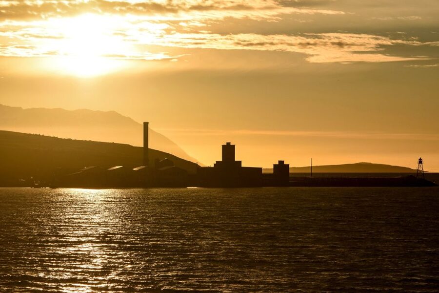 Akureyri: Whale Watching in the Midnight Sun - Who will get the most from this tour?