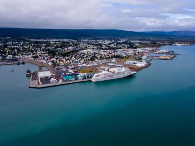 Akureyri: Whale Watching Shore Excursions