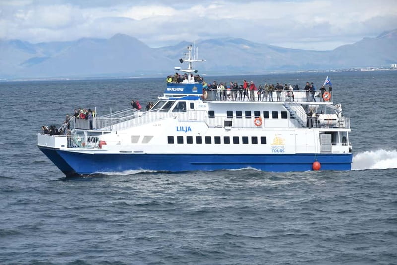 Akureyri: Whale Watching Shore Excursions - The views beyond the whales