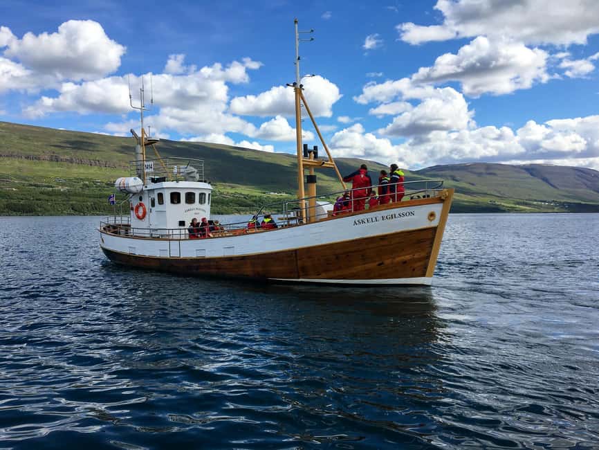 Akureyri: Whale Watching Tour with Transfer from Port - Why this Akureyri whale tour starts in Hauganes