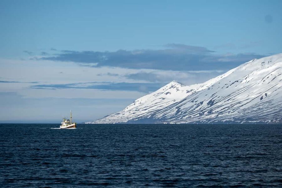 Akureyri: Whale Watching Tour with Transfer from Port - Who will get the most from this outing?