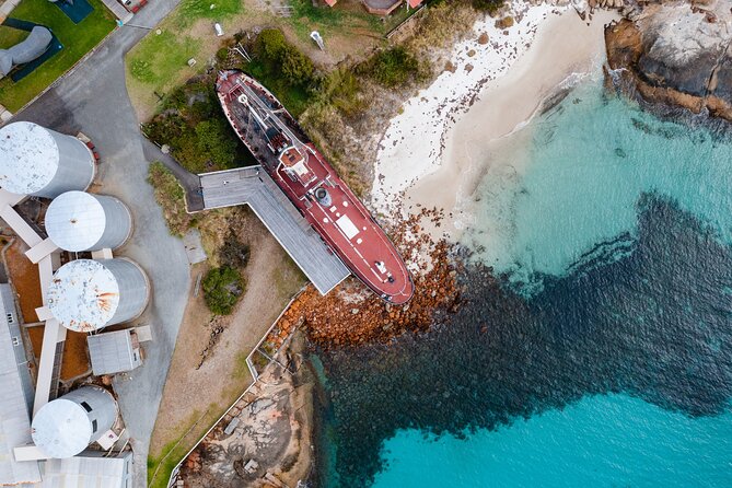 Albany's Whale Story - Why Albany’s whale story matters