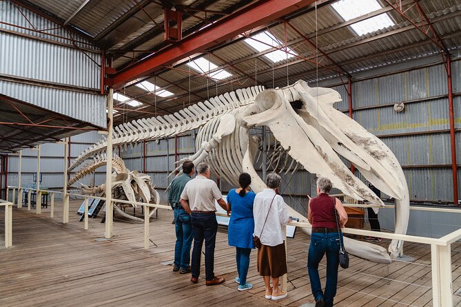 Albany's Whale Story - Climbing aboard Cheynes IV