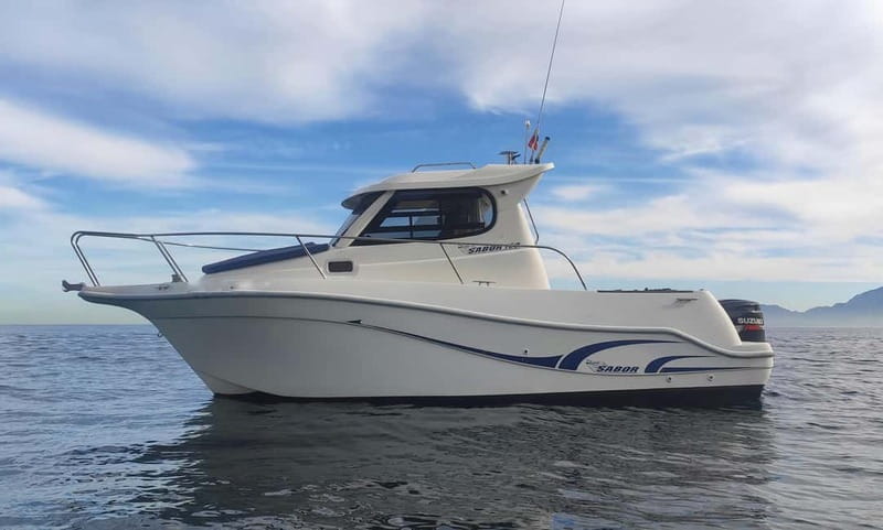 Algeciras: Dolphin and whale watching in reduced groups - Who will enjoy this boat trip most?
