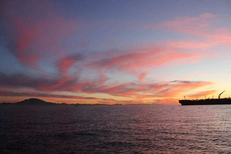 Algeciras: Dolphin and whale watching in reduced groups - Is $81 a good value?