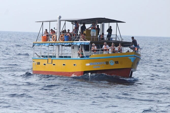 All Inclusive Mirissa Whale and Dolphin Watching Boat Ride - Leaving Mirissa before dawn