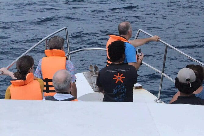 All Inclusive Mirissa Whale and Dolphin Watching Boat Ride - The 4.5-hour search across the Indian Ocean