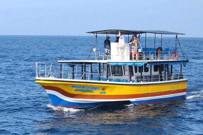 All Inclusive Mirissa Whale and Dolphin Watching Boat Ride - Rough seas can cancel the sailing