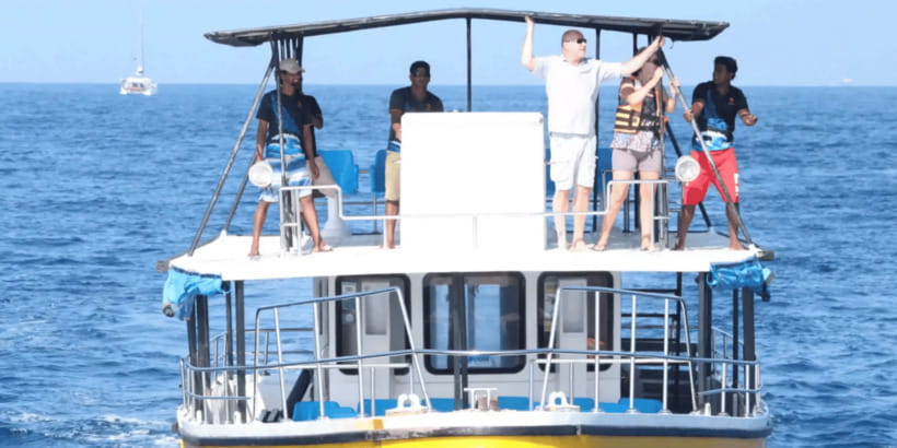 All Inclusive Mirissa Whale & Dolphin Watching + Snorkeling - Whale watching and the ethics of getting close