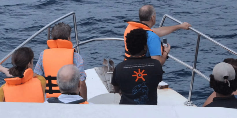 All Inclusive Mirissa Whale & Dolphin Watching + Snorkeling - Lunch with a local Sri Lankan meal
