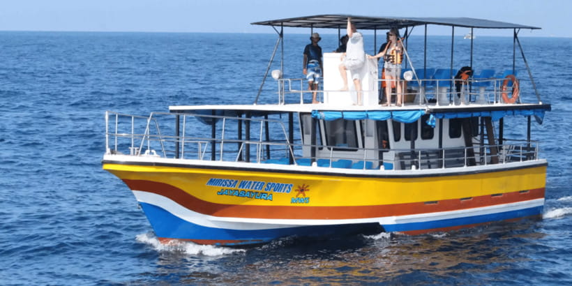 All Inclusive Mirissa Whale & Dolphin Watching + Snorkeling - Four hours searching for whales and dolphins