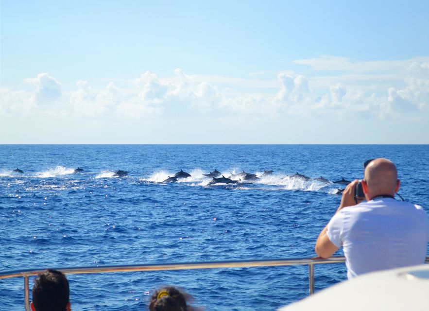 All Inclusive Whale and Dolphin Watching Luxury Tour - Setting off from Funchal with sparkling wine