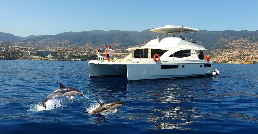 All Inclusive Whale and Dolphin Watching Luxury Tour - Drinks, local snacks, and a more personal pace
