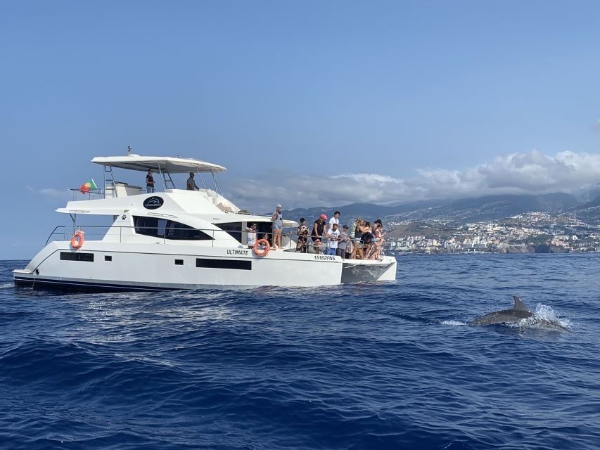 All Inclusive Whale and Dolphin Watching Luxury Tour - Practical tips for a better outing