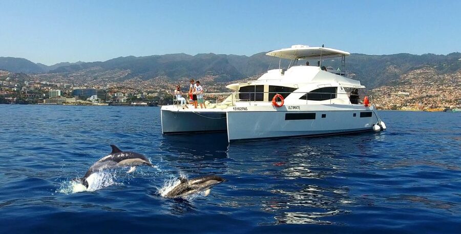 All Inclusive Whale and Dolphin Watching Luxury Tour - The first 45 minutes: heading offshore for wildlife