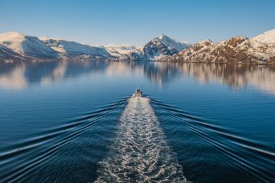 Alta: Altafjord Whale Watching in a Heated Boat