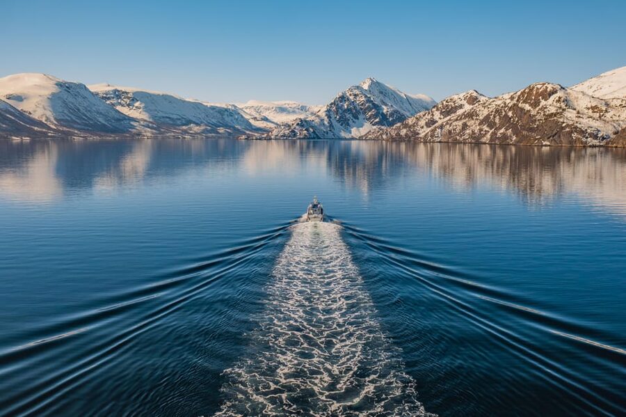 Alta: Altafjord Whale Watching in a Heated Boat - Why the herring season matters