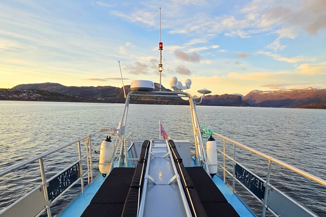 Alta Fjord: Whale Safari Experience - The value of $264.79 per person