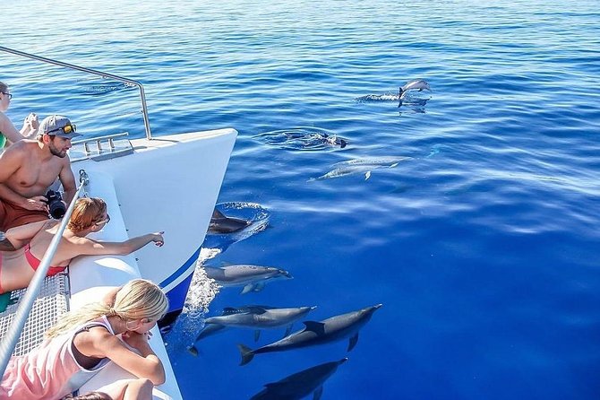 Among Whales Dolphins and Volcanoes Full Day Tour With Lunch - Lunch with a local taste