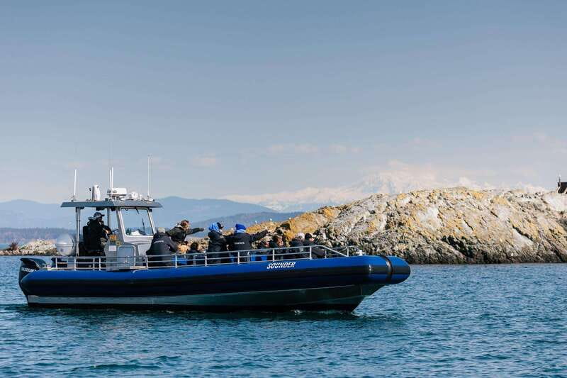 Anacortes: Whale Watching Adventure Tour Near Seattle - Is $149 a good value?