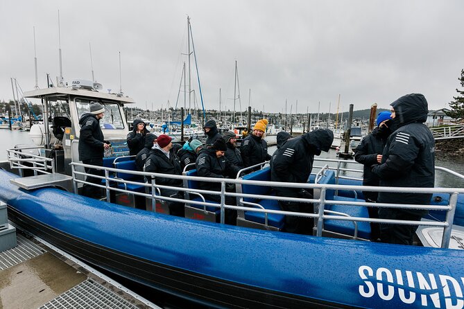 Anacortes Whale Watching Adventure Tour - Zodiac Boat - Why this Zodiac trip feels different from a big boat