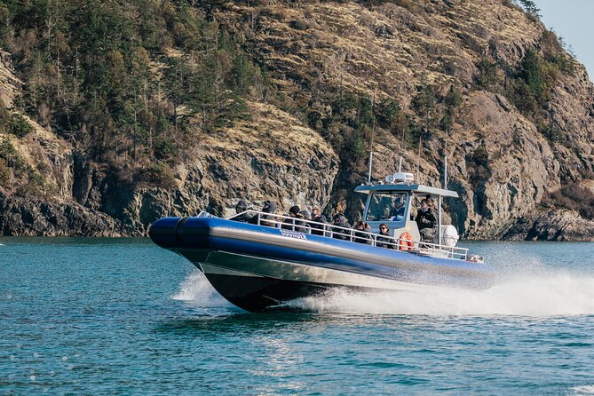 Anacortes Whale Watching Adventure Tour - Zodiac Boat - Who should choose this boat?