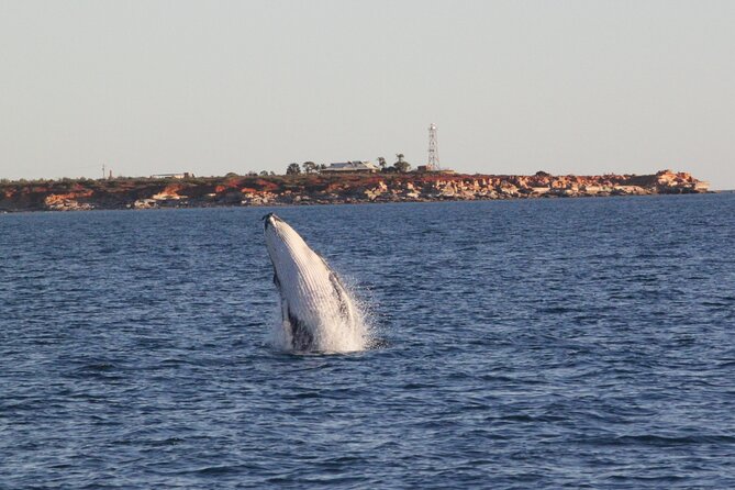 AOC Whale Watching from Broome - Setting out from Gantheaume Point at 3 pm