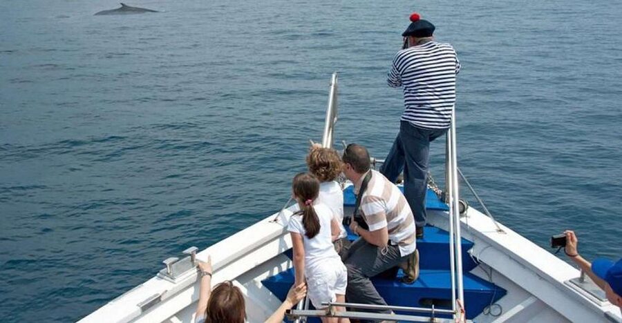 Aquarium of Genoa Ticket and Whale Watching Cruise - Genoa’s aquarium gives the day a strong first half