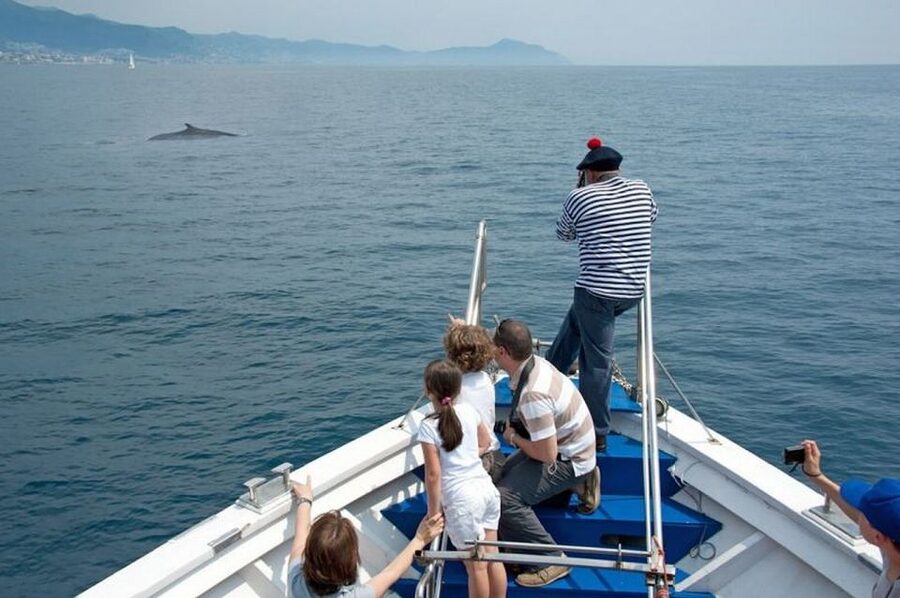 Aquarium of Genoa Ticket and Whale Watching Cruise - The pier beside the aquarium keeps the plan simple