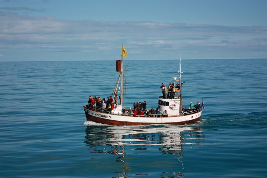 Árskógssandur: Whale-Watching Boat Trip - Why the sheltered fjord matters