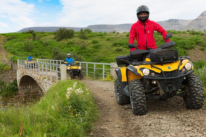 ATV & Whale Watching Full day adventure in Reykjavik - One morning, two sides of Iceland
