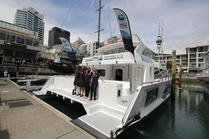 Auckland Dolphin and Whale Watching Eco-Safari Cruise - Setting out from Viaduct Harbour