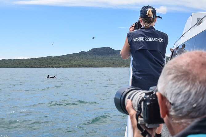 Auckland Dolphin and Whale Watching Eco-Safari Cruise - Tiritiri Matangi and North Head