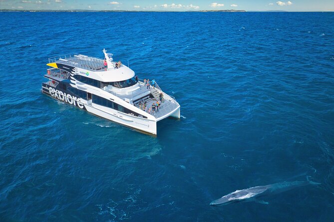 Auckland: Tikapa Moana Dolphin, Whale and Island Cruise - Leaving Auckland for the Hauraki Gulf