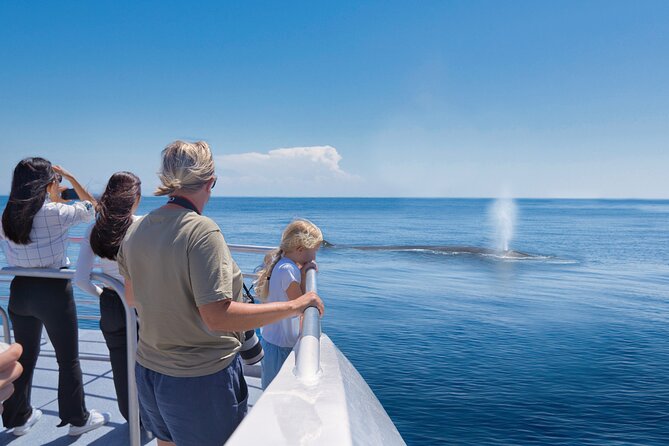 Auckland: Tikapa Moana Dolphin, Whale and Island Cruise - The boat, seating, and onboard comfort
