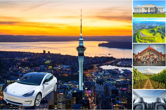 Auckland: Tikapa Moana Dolphin, Whale and Island Cruise - Rotoroa Island: walks, beaches, and native wildlife