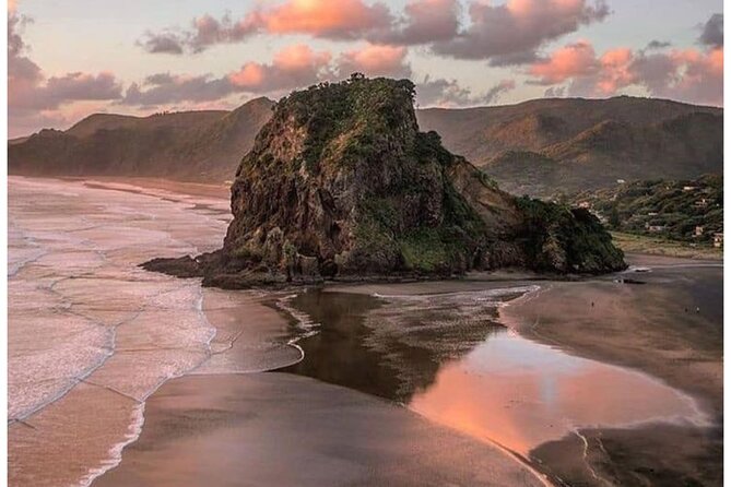 Auckland: Tikapa Moana Dolphin, Whale and Island Cruise - Commentary, culture, and conservation