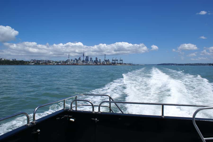 Auckland: Tikapa Moana Whales, Dolphins and Islands Cruise - Choosing Man O’ War on Waiheke Island