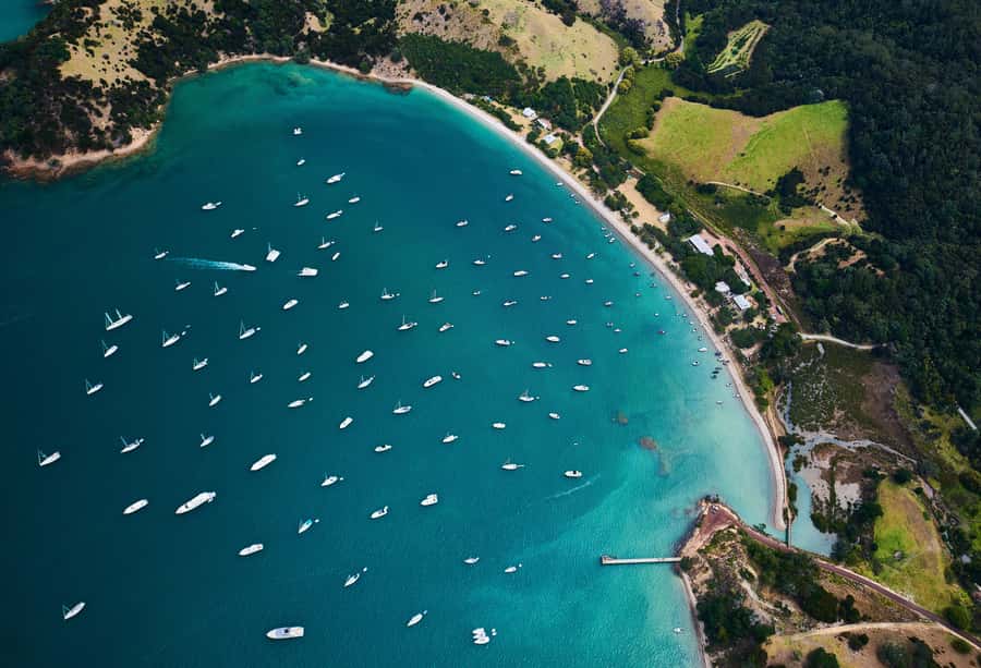 Auckland: Tikapa Moana Whales, Dolphins and Islands Cruise - How the departure times change the day