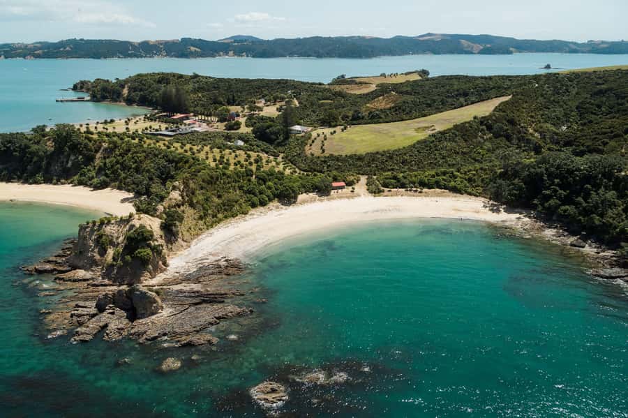 Auckland: Tikapa Moana Whales, Dolphins and Islands Cruise - Is $92 good value?