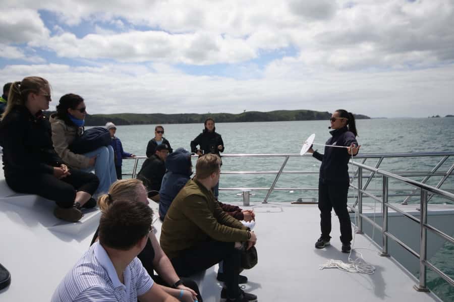 Auckland: Whale and Dolphin Watching Half-Day Eco Cruise - Key points to know before you book