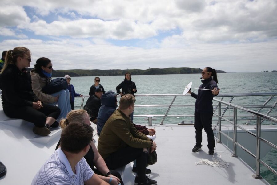 Auckland: Whale and Dolphin Watching Half-Day Eco Cruise - Is $130 per person good value?