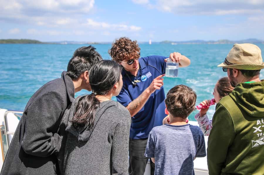 Auckland: Whale and Dolphin Watching Half-Day Eco Cruise - Who will enjoy this Auckland cruise?