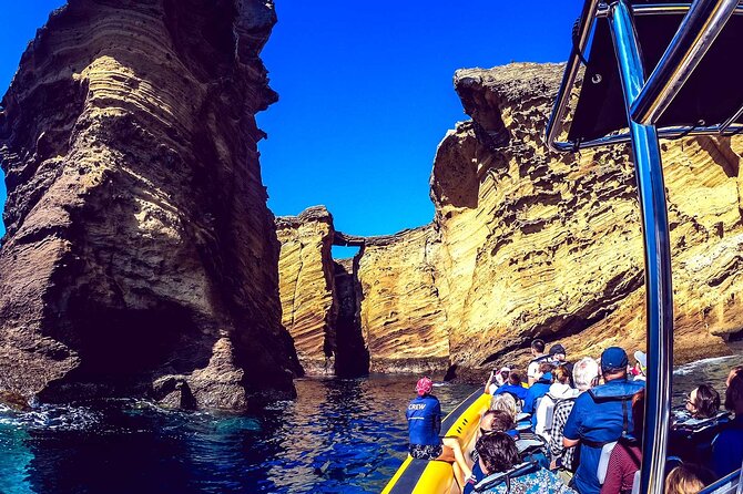 Azores Whale Watching & Islet Boat Tour - What the price gives you
