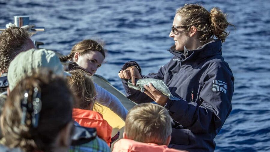 Azores: Whale Watching & Islet Boat Tour w/ Marine Biologist - Key points to know before you book