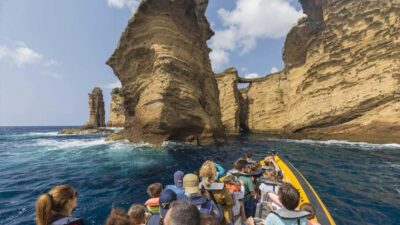 Azores: Whale Watching & Islet Boat Tour w/ Marine Biologist