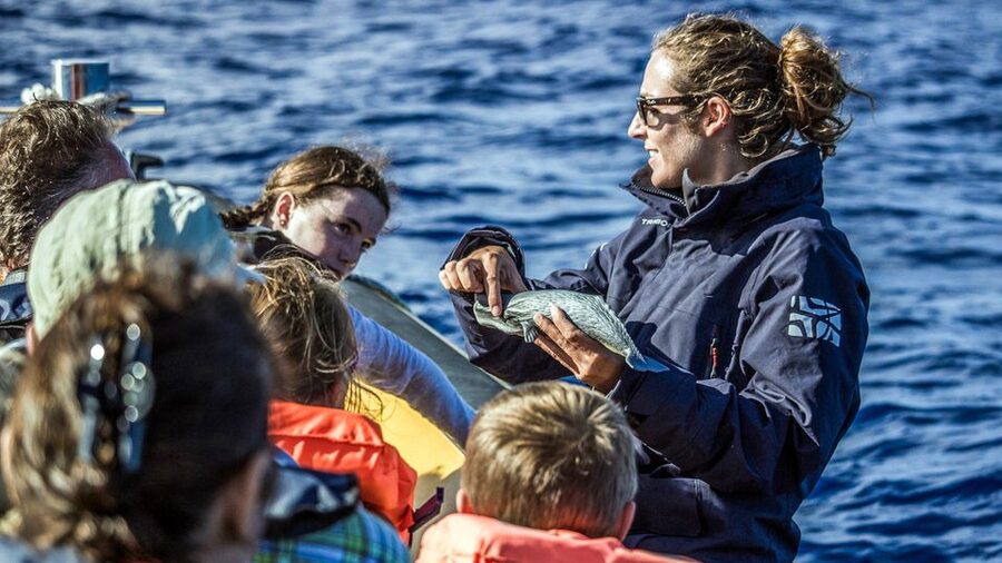 Azores: Whale Watching & Islet Boat Tour w/ Marine Biologist - What the $73 price gets you