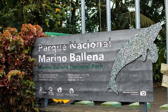 Bahia Ballena Whale and Dolphin Tour - Morning - Why this short Uvita boat trip works so well